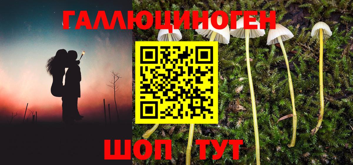 Галлюциногенные грибы ЛСД Кольчугино