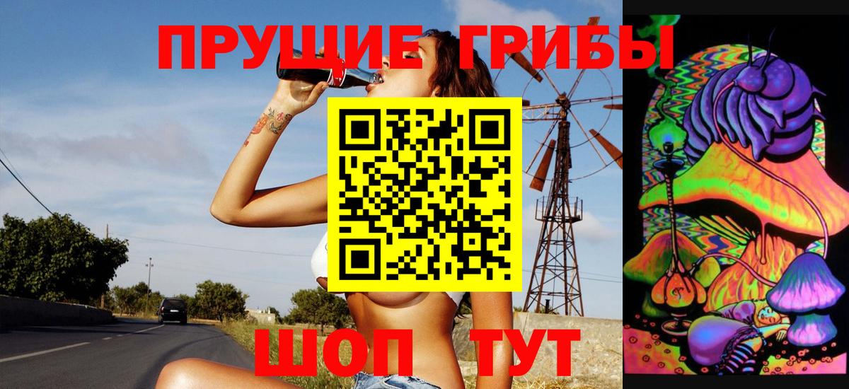 Галлюциногенные грибы мицелий  Вход с VPN  Кольчугино 